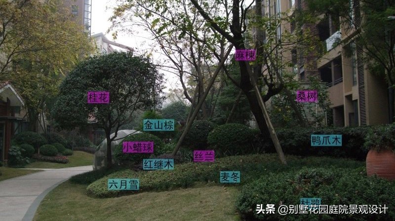 別墅庭院常用植物分享，附照片及名字標(biāo)注（珍藏版）