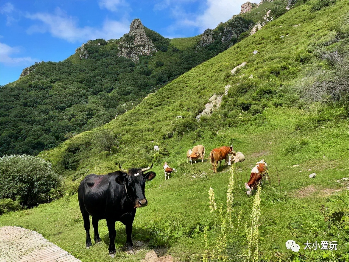 年度最佳秋游地，尽在这些美丽的京郊小村镇