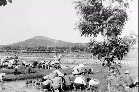 女特务潜伏西北三十年，为长期潜伏嫁给农民，生儿育女过村妇生活