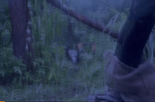 Did not look to make one star to Xiao Zhan, do not tell Wu De? 