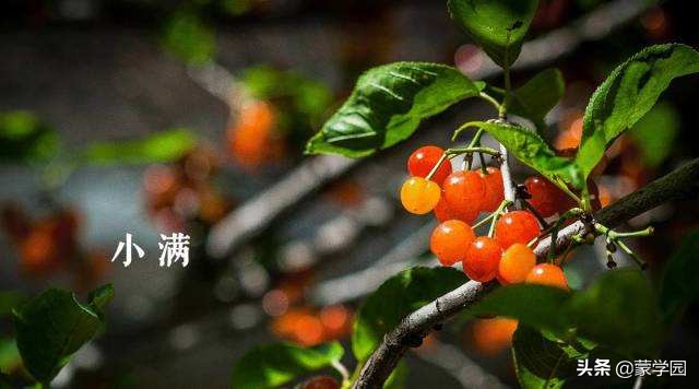 小满经典诗词，带你走近最美初夏！-第1张图片-非凡网