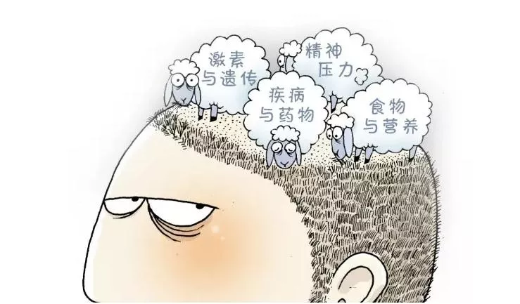 再见吧,脱发君