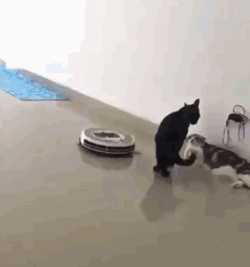 掃地機器人，人工智能還是人工“智障”？