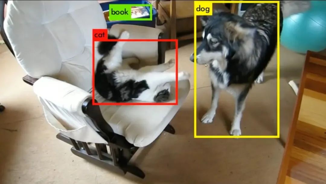 从猫狗不分到实时识别 准确率 超99%，计算机图像是如何做到的？