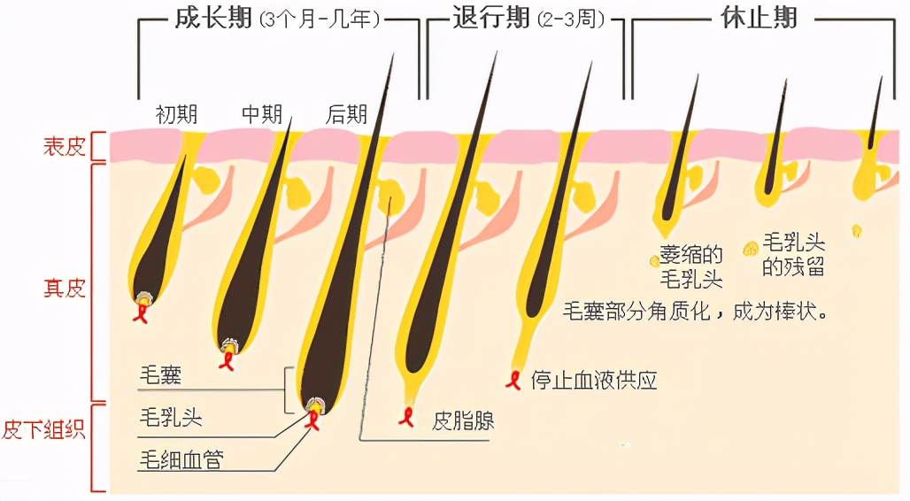 女生怎样脱毛最合适？