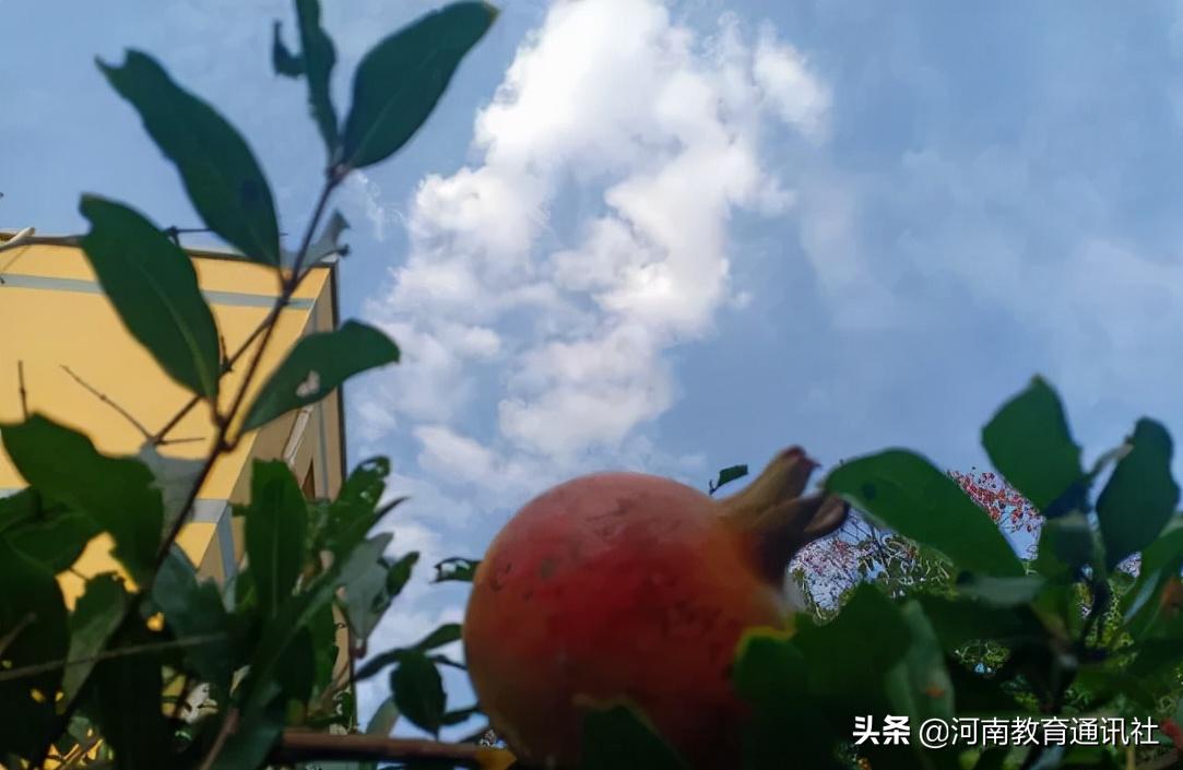 滑縣牛屯鎮(zhèn)中小學(xué)校慶祝農(nóng)民豐收節(jié)專題活動(圖17)