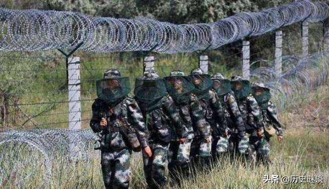 最危险的边防线，已有7条军犬被咬死，士兵睡觉