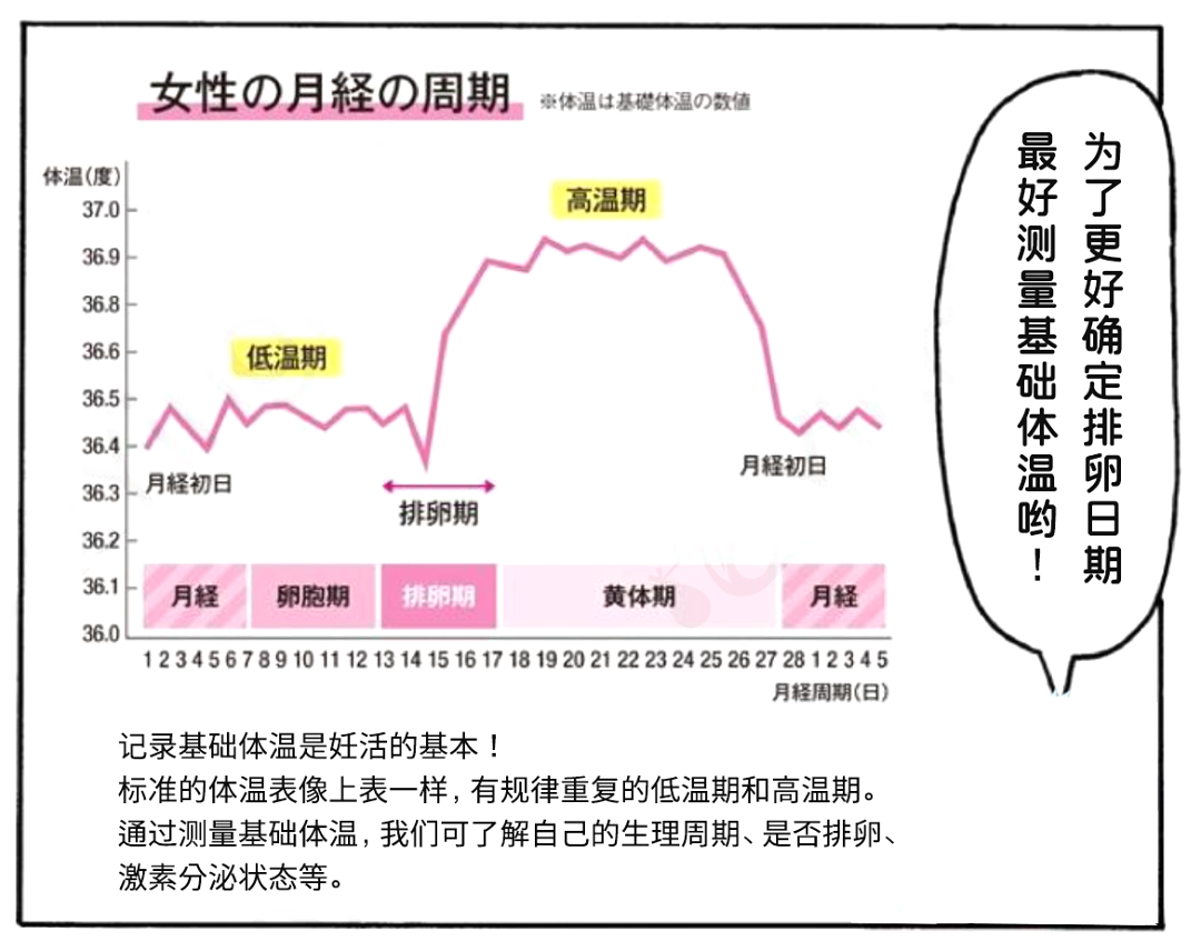 卵子质量好不好 教你几招做个自检 好孕时光 Mdeditor