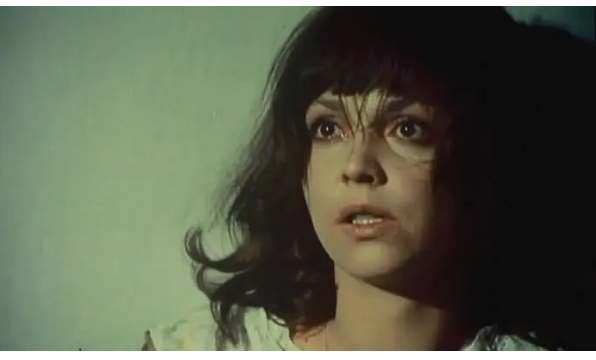 《瓦尔特保卫萨拉热窝》故事，主演是铁托朋友