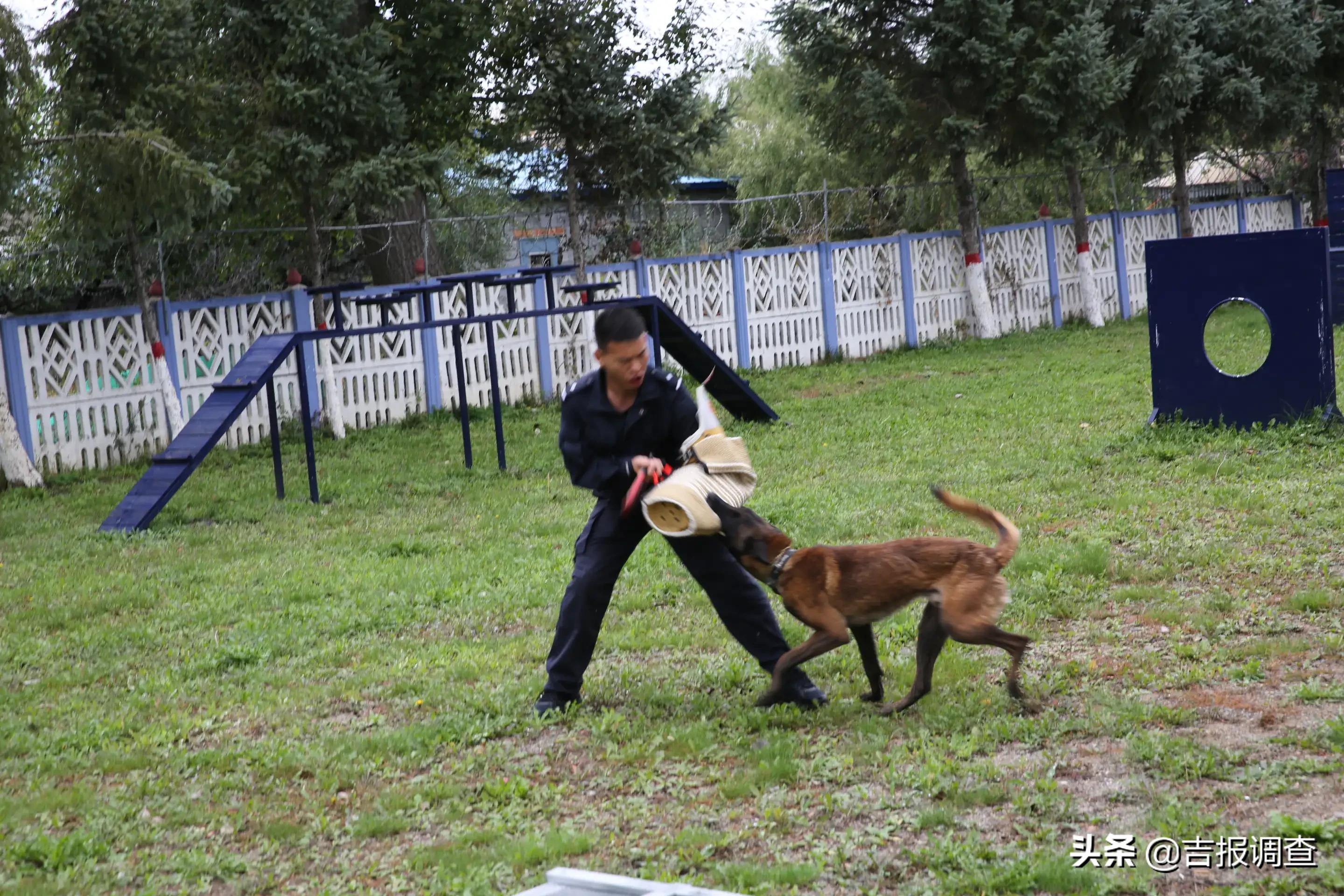 琿春市第五中學(xué)七年一班師生在馬川子(圖6)