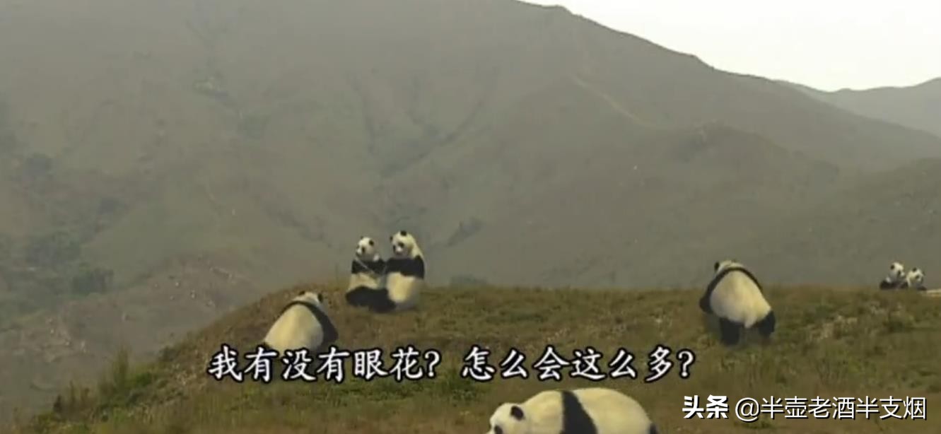 坑死蚩尤，诸葛亮李世民将其食肉寝皮，这种食铁兽真是大熊猫吗？