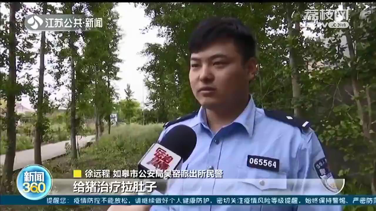 农田中央偷种3000余株罂粟 南通村民：听说可以给猪治拉肚子