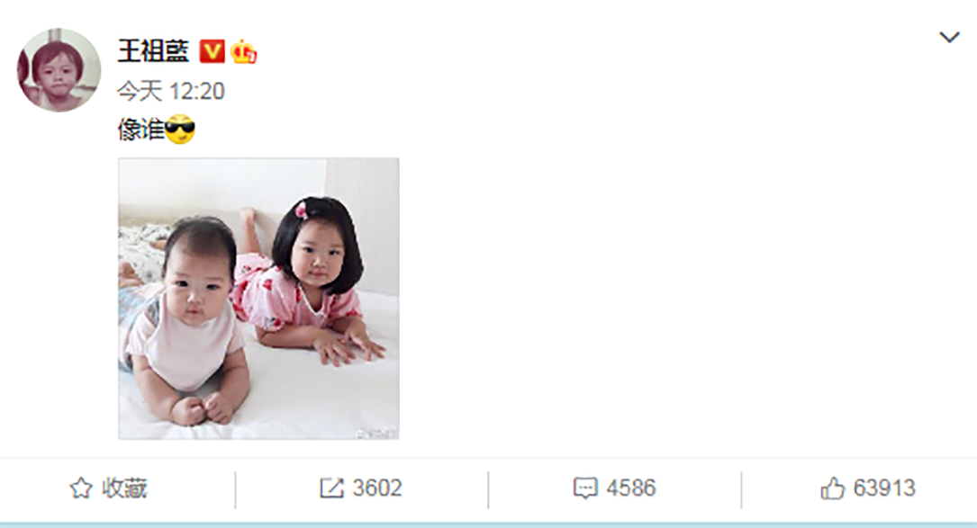 王祖藍曬倆女兒同框照問像誰，妹妹和姐姐一模一樣，雙胞胎既視感