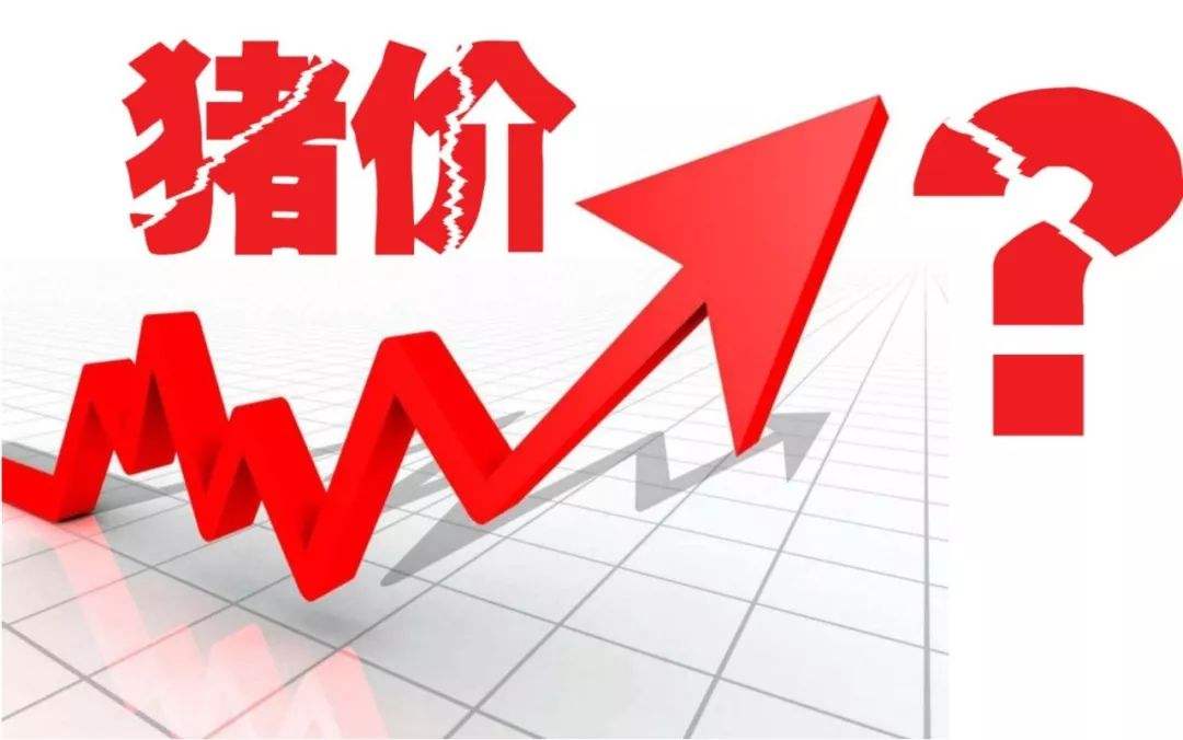 猪价大跌9.84元，猪周期下行“拐点”到来？看完