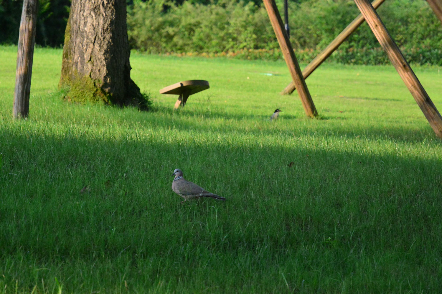 大门重修后的渝州宾馆：走路散步免费，开车穿越却要交钱？