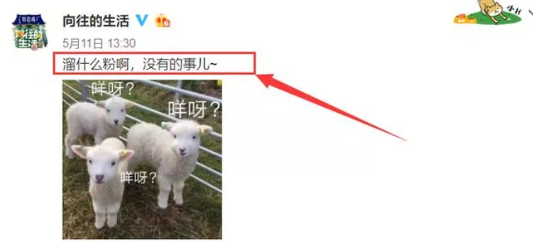 王一博成芒果新宠，新节目招商都有他，热门综