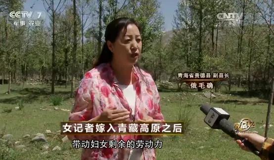 ? Judge east | Attention an account in one's own words " within an inch of is beaten dead " Ma Jinyu, cannot be oral anger and appeal only