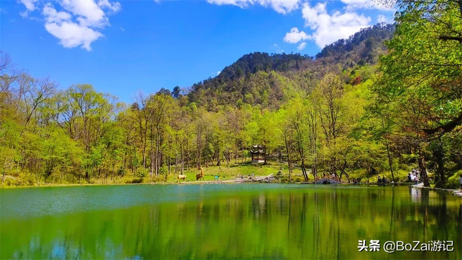 到四川雅安旅行不能错过的10大景点，有一处被称为中国仙茶故乡