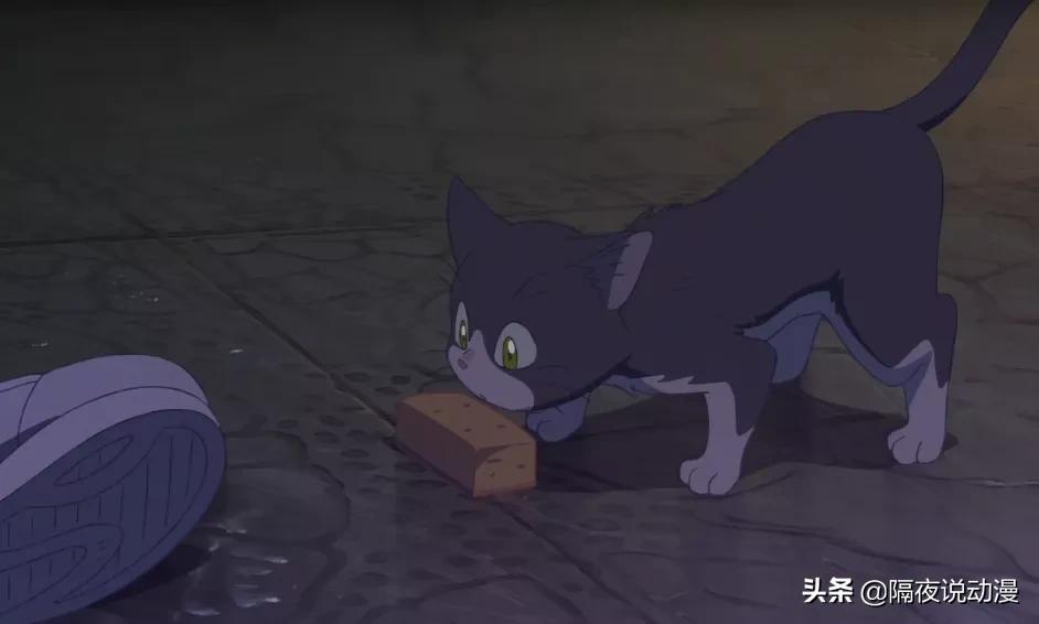 事件|B站回应UP主死亡事件 他家境不错父亲付手术费