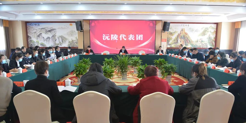 【图片新闻】市五届人大五次会议各代表团举行分组讨论