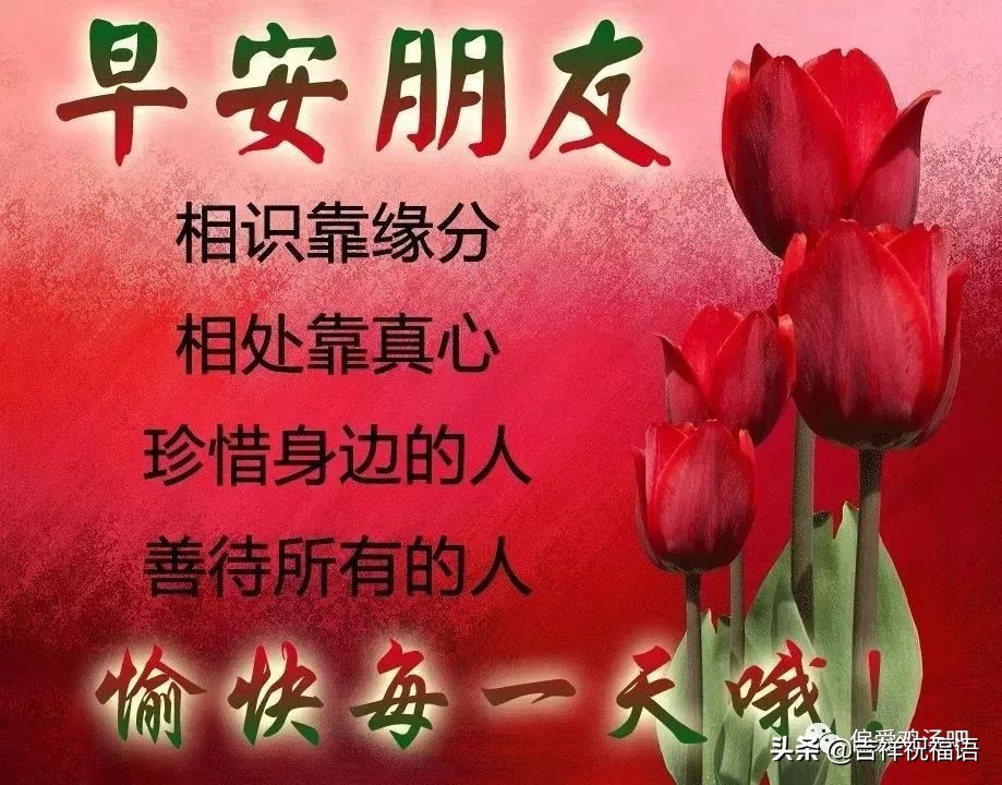 早上好动态图片带字和鲜花 早上好图片大全图片