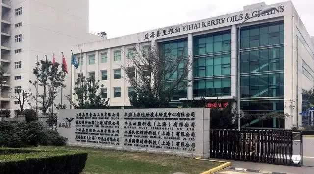 一年进账1600亿，这个被误认为国货的公司，在中