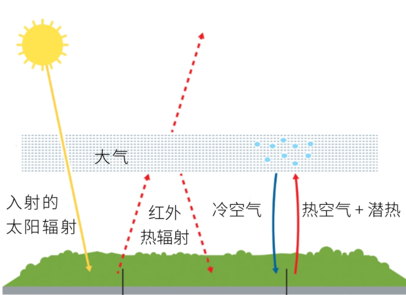 抓住了气候变化主要核心,将影响气候的重要因素联系了起来,建立了模型