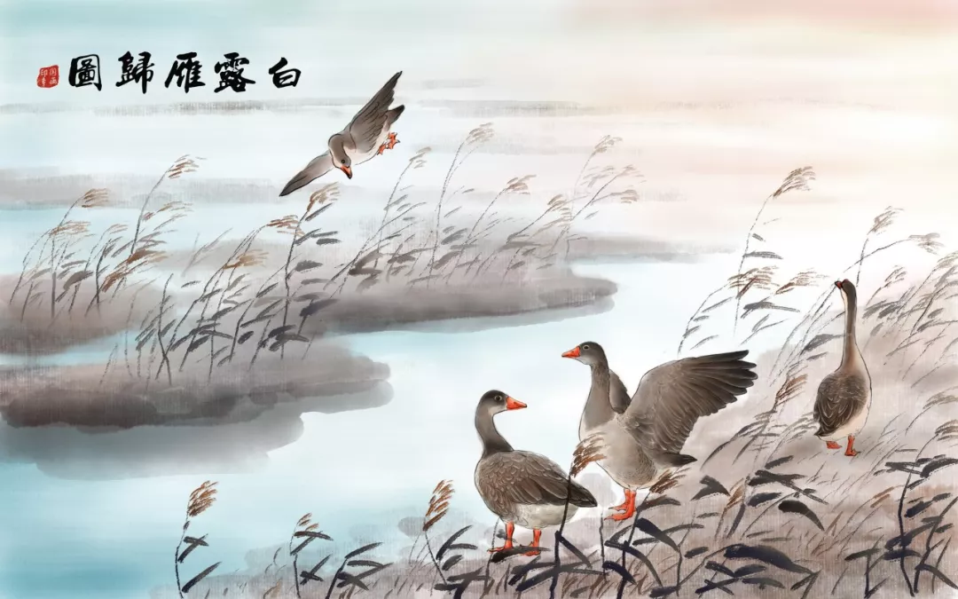 白露|清风白露,愿你无恙-第3张图片-非凡网 白露|清风白露,愿你无恙-第3张图片-非凡网