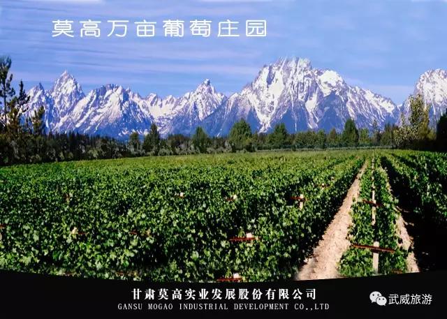 未曾邂逅过的武威之美
