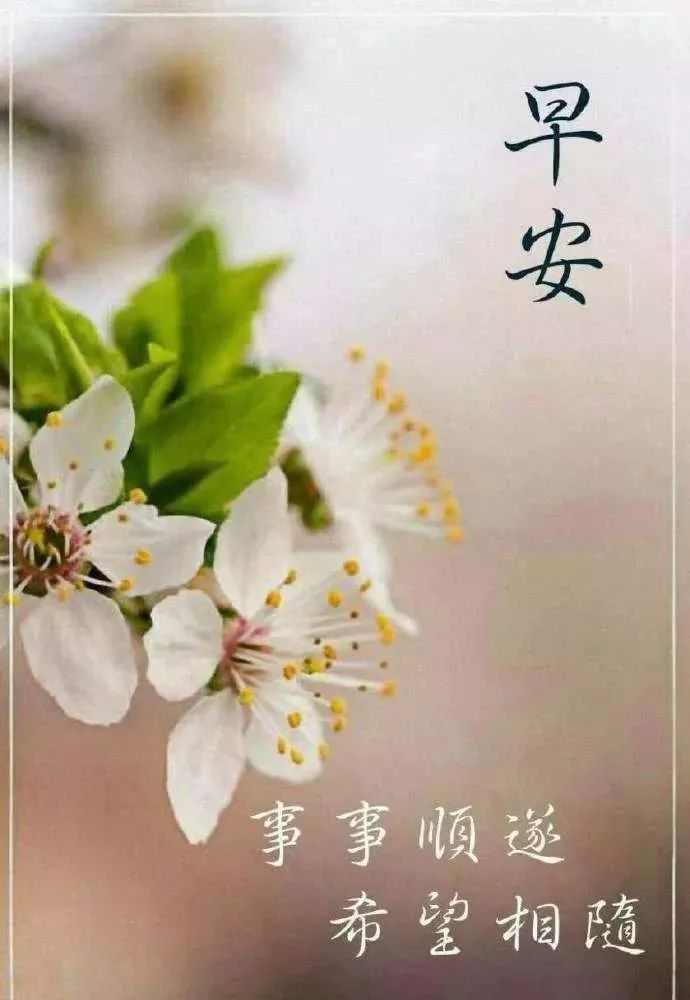 最新最美早安祝福图片  早安温馨祝福语大全简短图片
