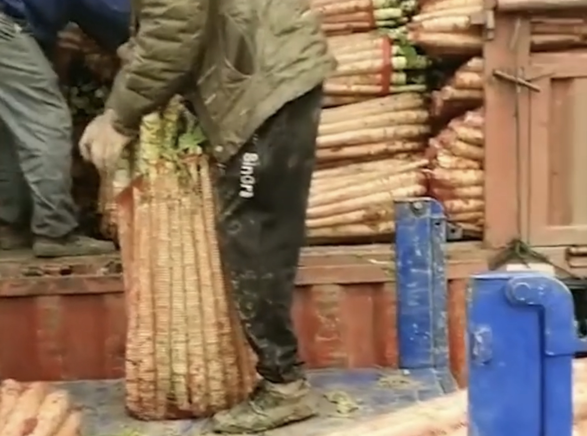 退款道歉 莴笋去叶绿通事件暴露卡车司机生存现状