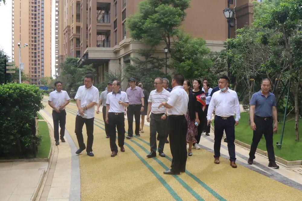 广东省物协考察团赴湛江市学习交流