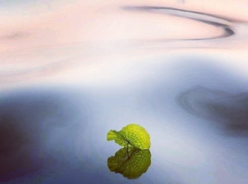 岁月是一指流砂，苍老是一段年华