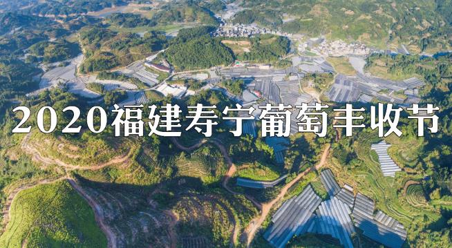 “寿宁葡萄，甜蜜的味道”2020年寿宁葡萄丰收节圆满举办成功