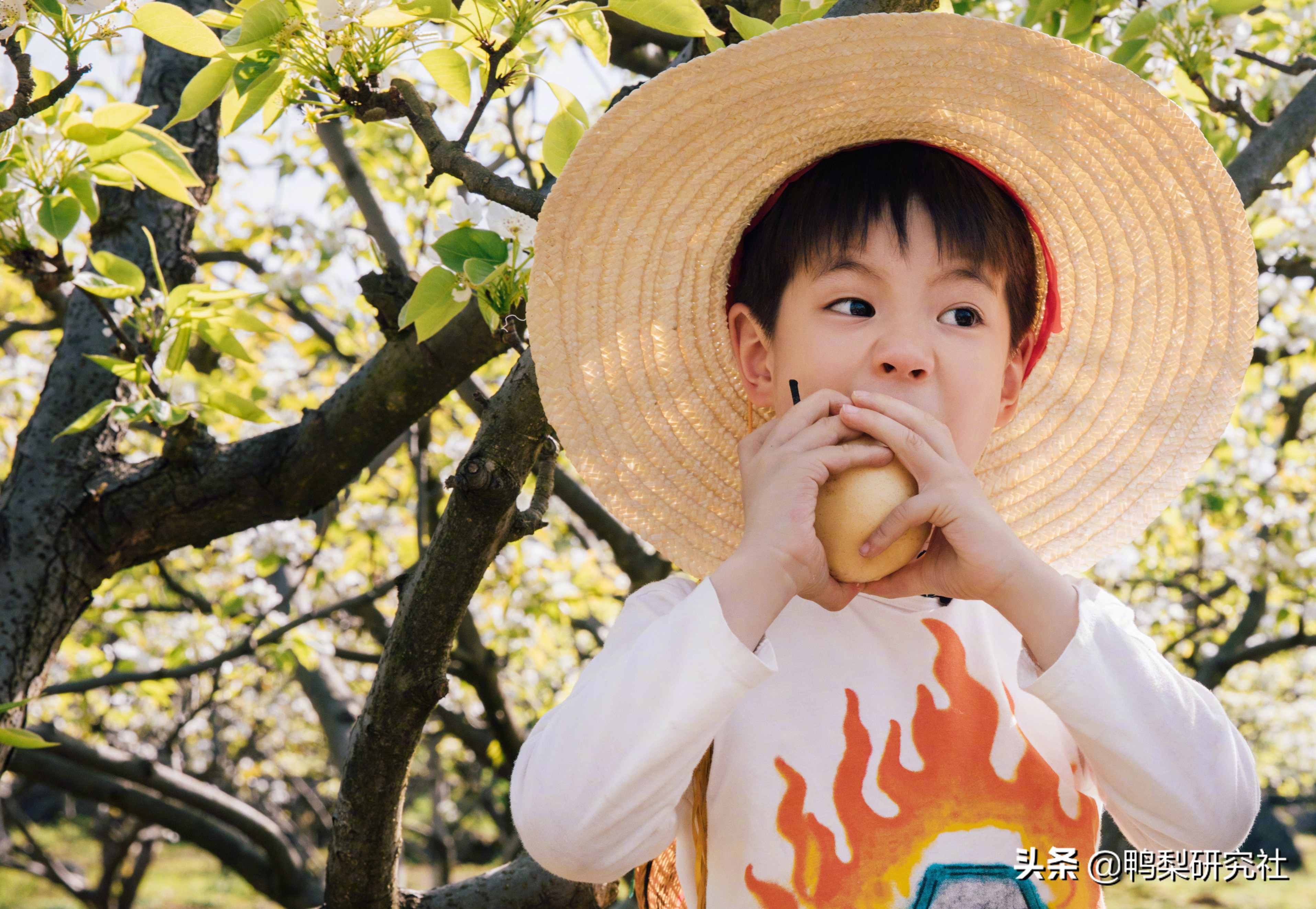 霍思燕将“甜言蜜语”当作家常便饭，把嗯哼大王培养成小暖男