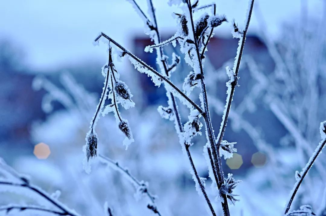 这10首绝美诗词，不带一个雪字，却写尽雪之美！叹为观止-第3张图片-非凡网