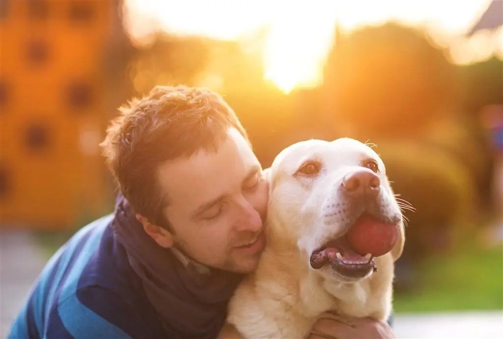 进口猫粮引众怒，国产定制粮逆风翻盘？