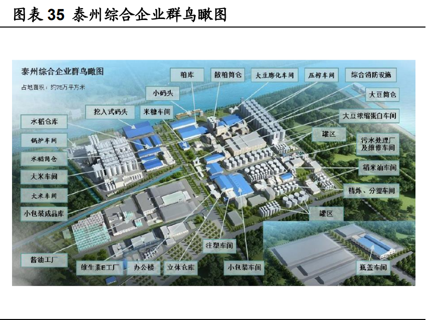 金龙鱼深度解析：厨房食品业务优势突显，饲料业务景气上行