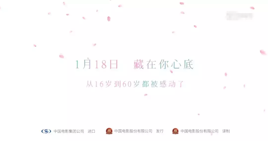 看完《我想吃掉你的胰脏》,我终于明白豆瓣6.9低分的原因在哪里