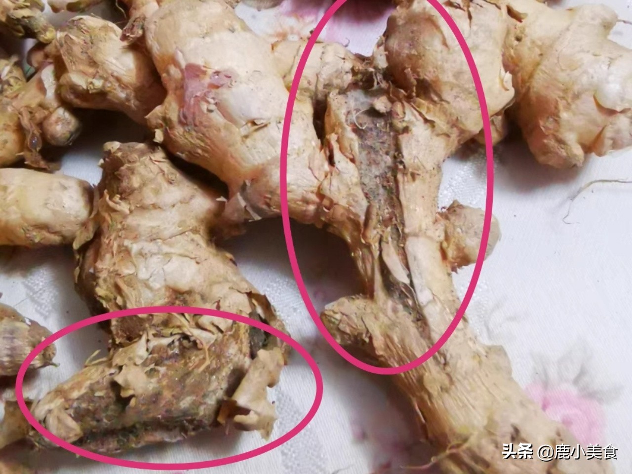 生姜太多不好保存？教你2个储存妙招，生姜不干不长霉，依旧新鲜