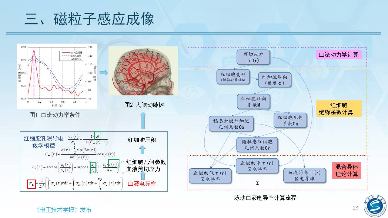 沈陽工業(yè)大學(xué)柯麗教授：感應(yīng)式顱腦電磁特性檢測與成像方法研究