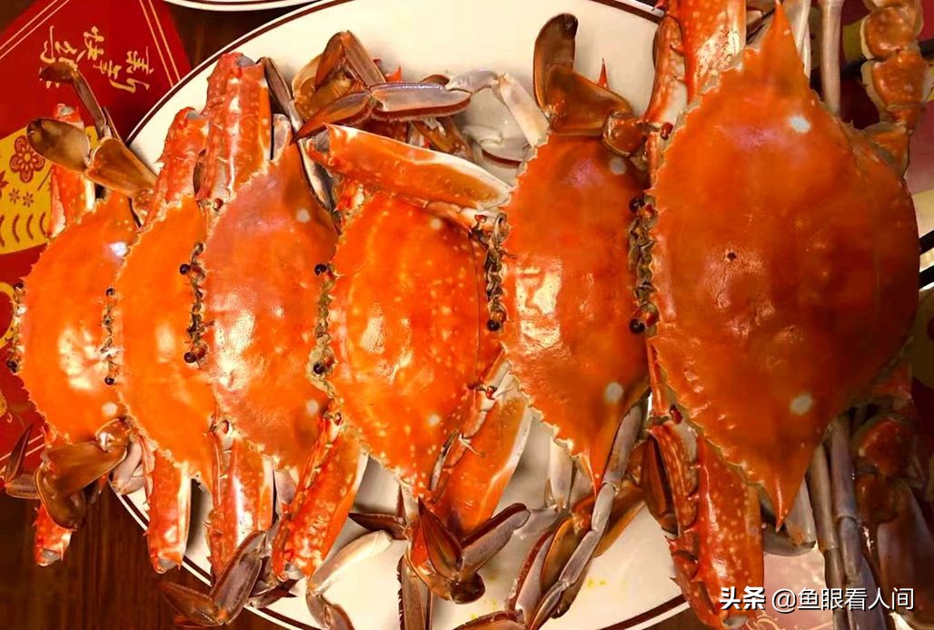 中秋节餐桌美食，看青岛人的海鲜大餐，梭子蟹和大虾不可少