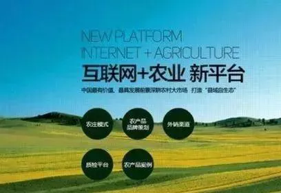 【模式探索】2020农村电商应该怎样做?