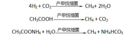 北京欧倍尔有机固废厌氧发酵实验仿真培训软件