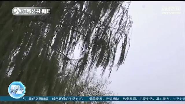 『开发软件』一男子以此为借口诈骗300多万 还与女友挥霍了 相约合伙开发软件