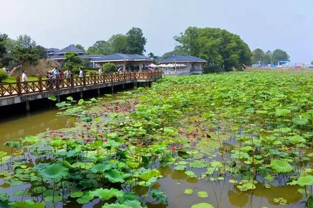 你还在长沙看橘子洲？长沙周边这7个地方的景色