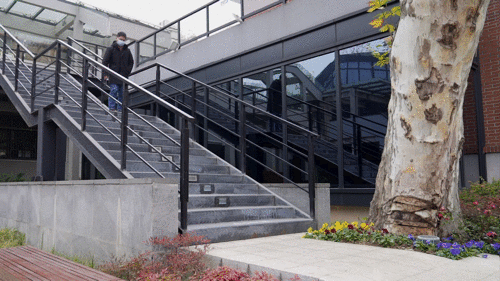 iPhone 12配件怎么选？手机壳、快充头、无线充一