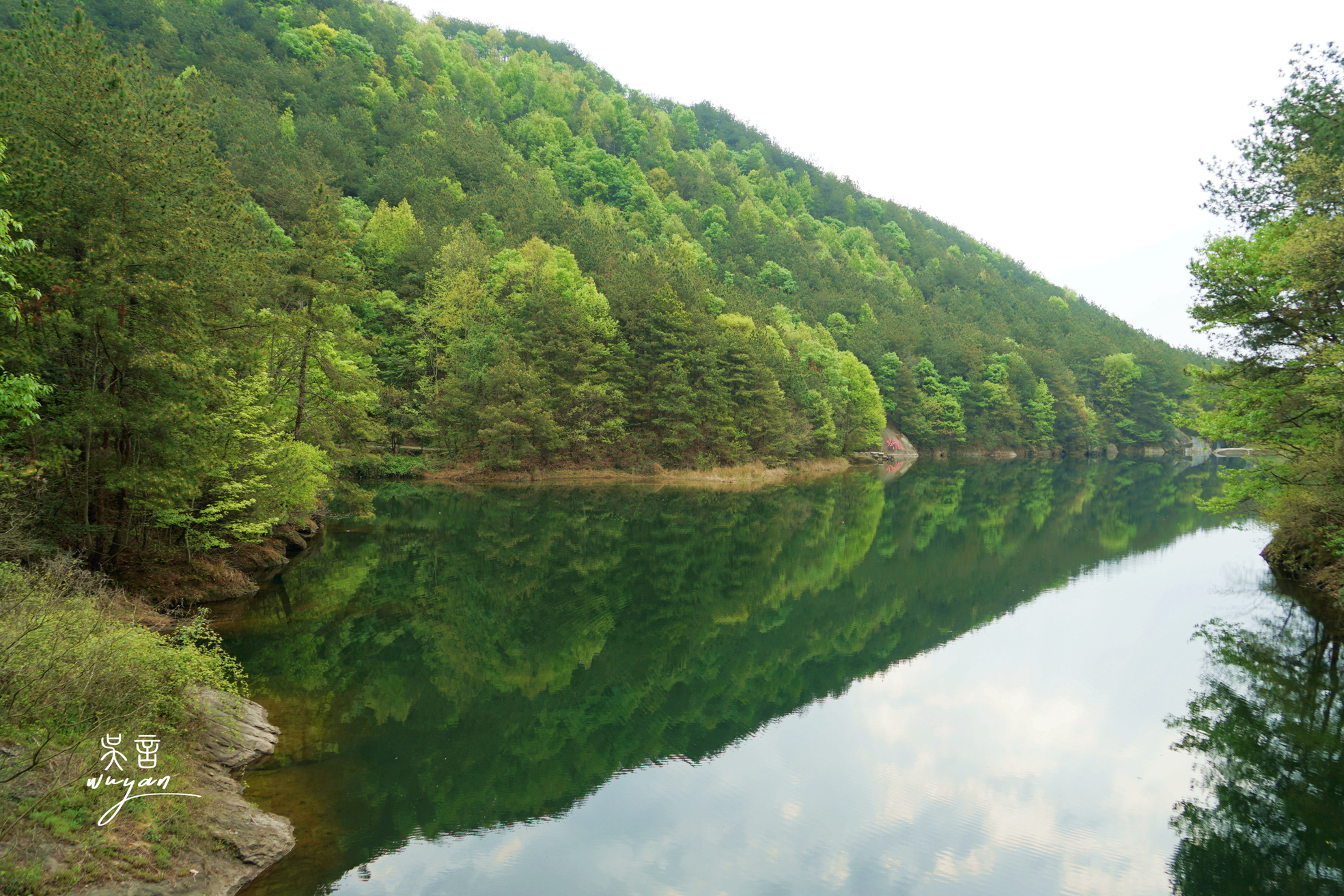 盘点武汉黄陂踏青赏花祈福网红景点花花世界心花怒放