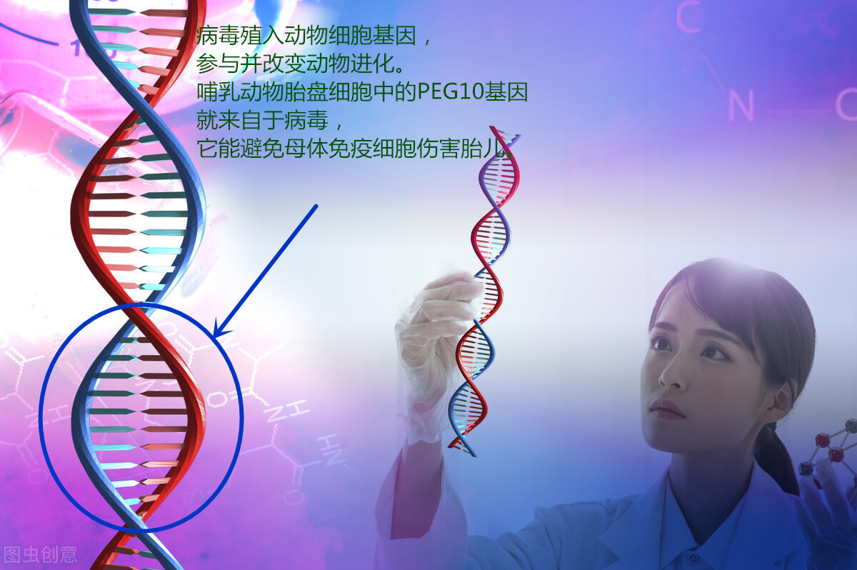 进化论说人起源于猿猴 最新科学发现人类出现有突然外来因素参与 Zh中文网