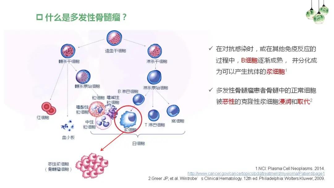 “中老年人腰背痛需警惕多发性骨髓瘤”健康大课堂